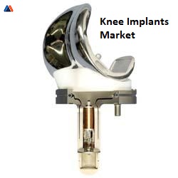 Knee Implants Market Applications, Drivers, Shares and Opportunities Forecast 2024