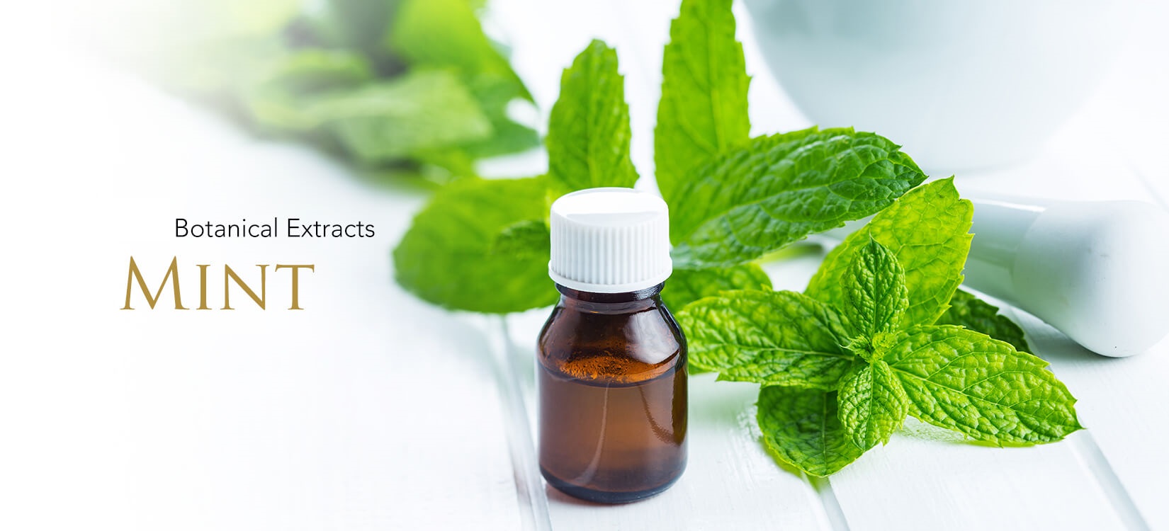 Botanical Extracts Market to reach at a CAGR of 8.7% by 2025 Globally