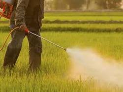 Agricultural Pesticides Market 2019|Global Industry Size, Demand, Growth Analysis, Share, Revenue and Forecast 2025