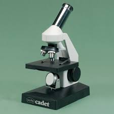 Student Microscopes Market 2019: Industry Share, Size, Regional Demand, Trends, Competitive Strategy and 2025 Forecasts