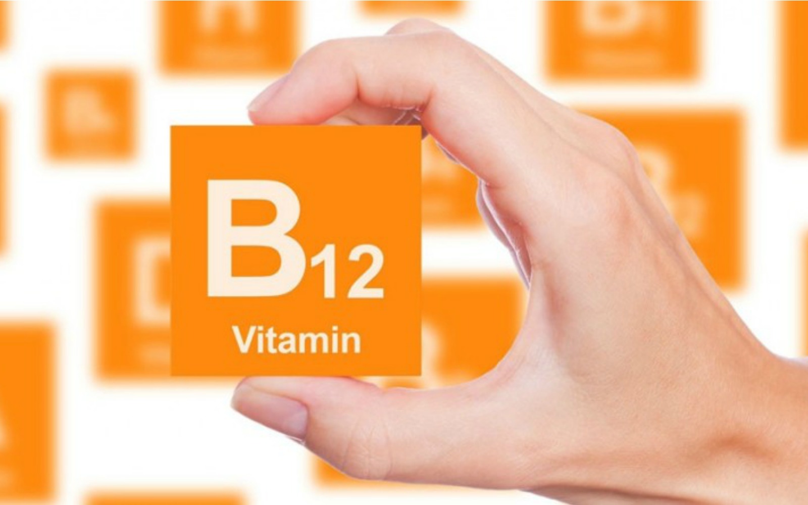 Global Active B12 Test Market Set For Rapid Growth And Trend 2019-2025