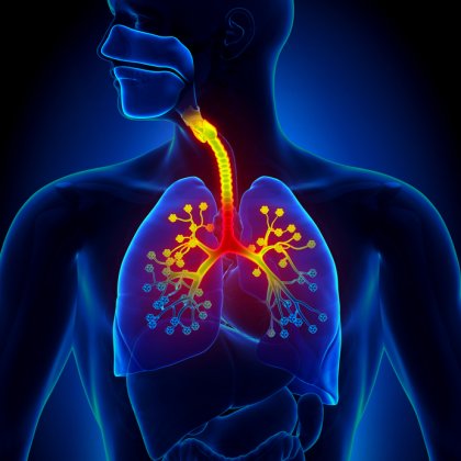 Global Gastroesophageal Reflux Disease Therapeutics Market Size, Share And Forecast 2018 – 2025