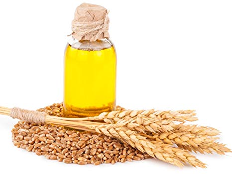 Wheat Germ Oil Industry 2019 Market Research Report