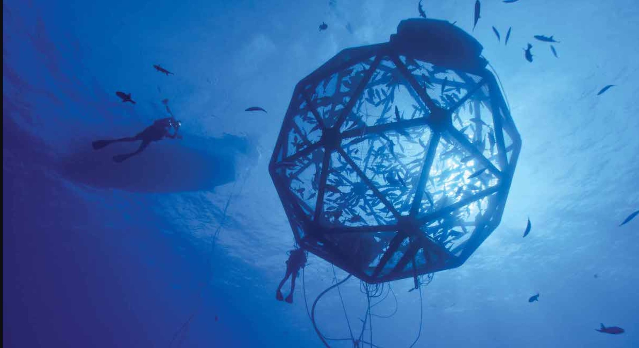 Aquaculture Market 2019 - Industry Outlook and Growth by 2024