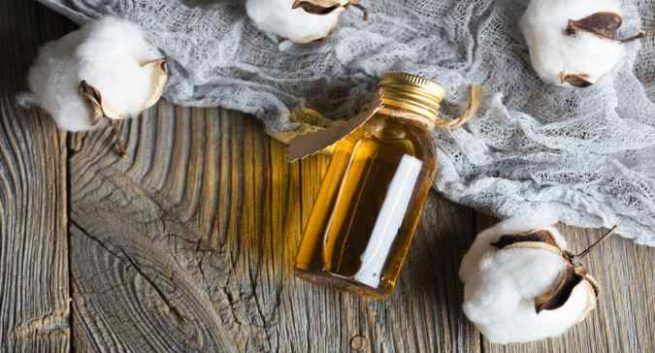 Cottonseed Oil Market - Industry Analysis and Forecast by 2024