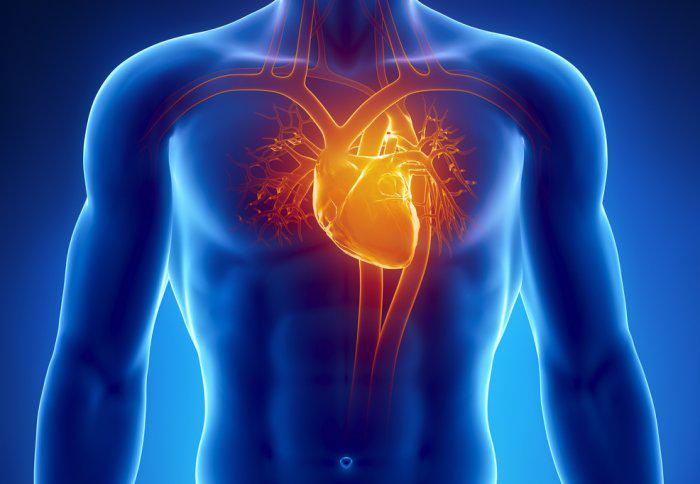 Ischemic Heart Disease Market Size and Share: Industry Forecast, 2023