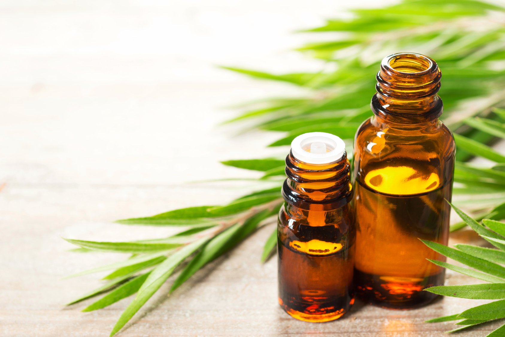 Tea Tree Oil Market is to Grow at 5.4% CAGR by 2024 Globally