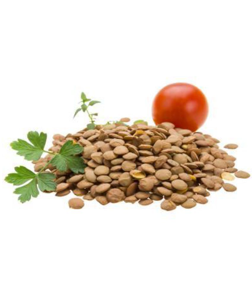 Tomato Seeds Market Size and Share to reach 6.1 in CAGR by 2024
