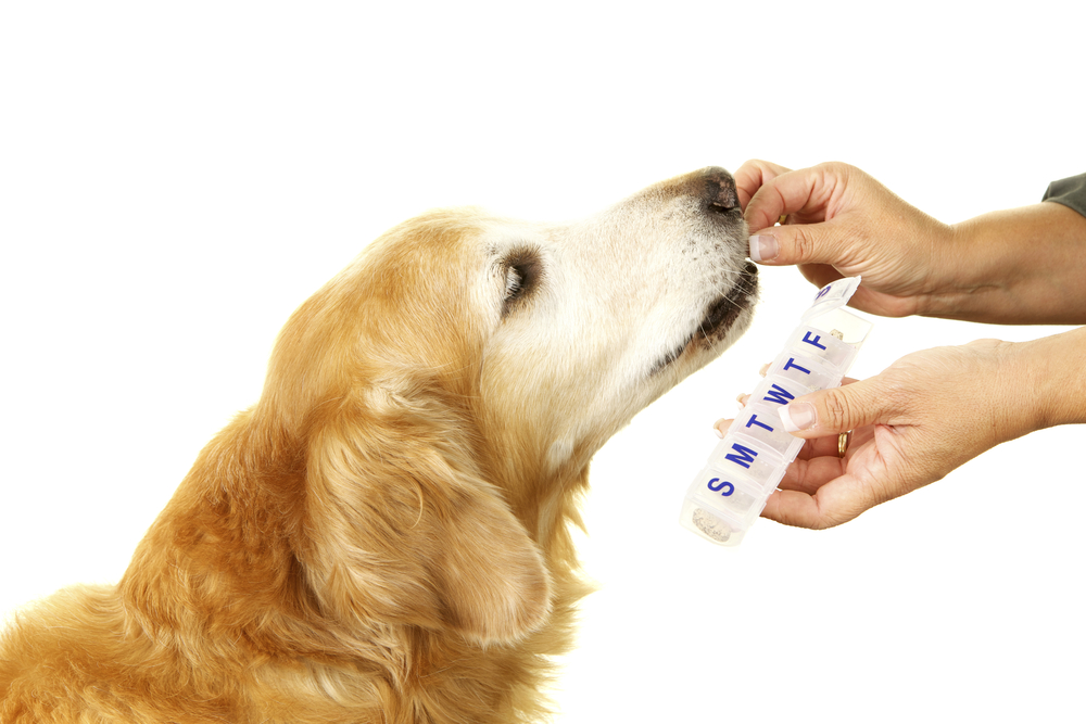 Veterinary Dermatology Drugs Market Research Industry Analysis, Growth, Size, Share, Trends, Forecast to 2024