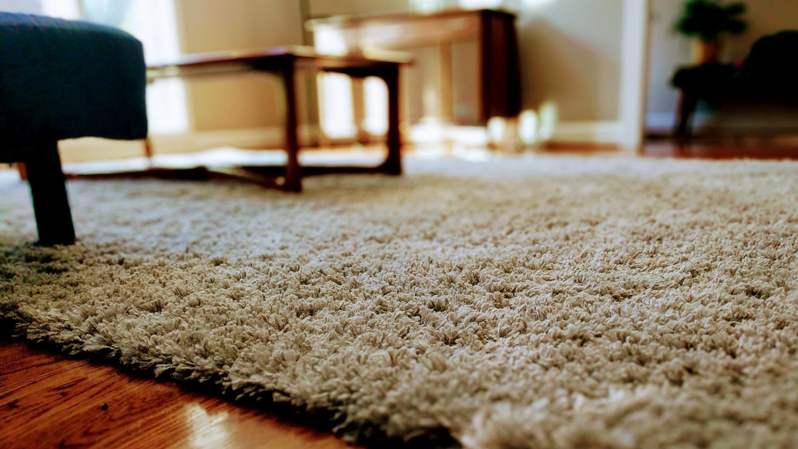 Carpet Market Exporters, Manufacturers & Industry Analysis Globally | PMR