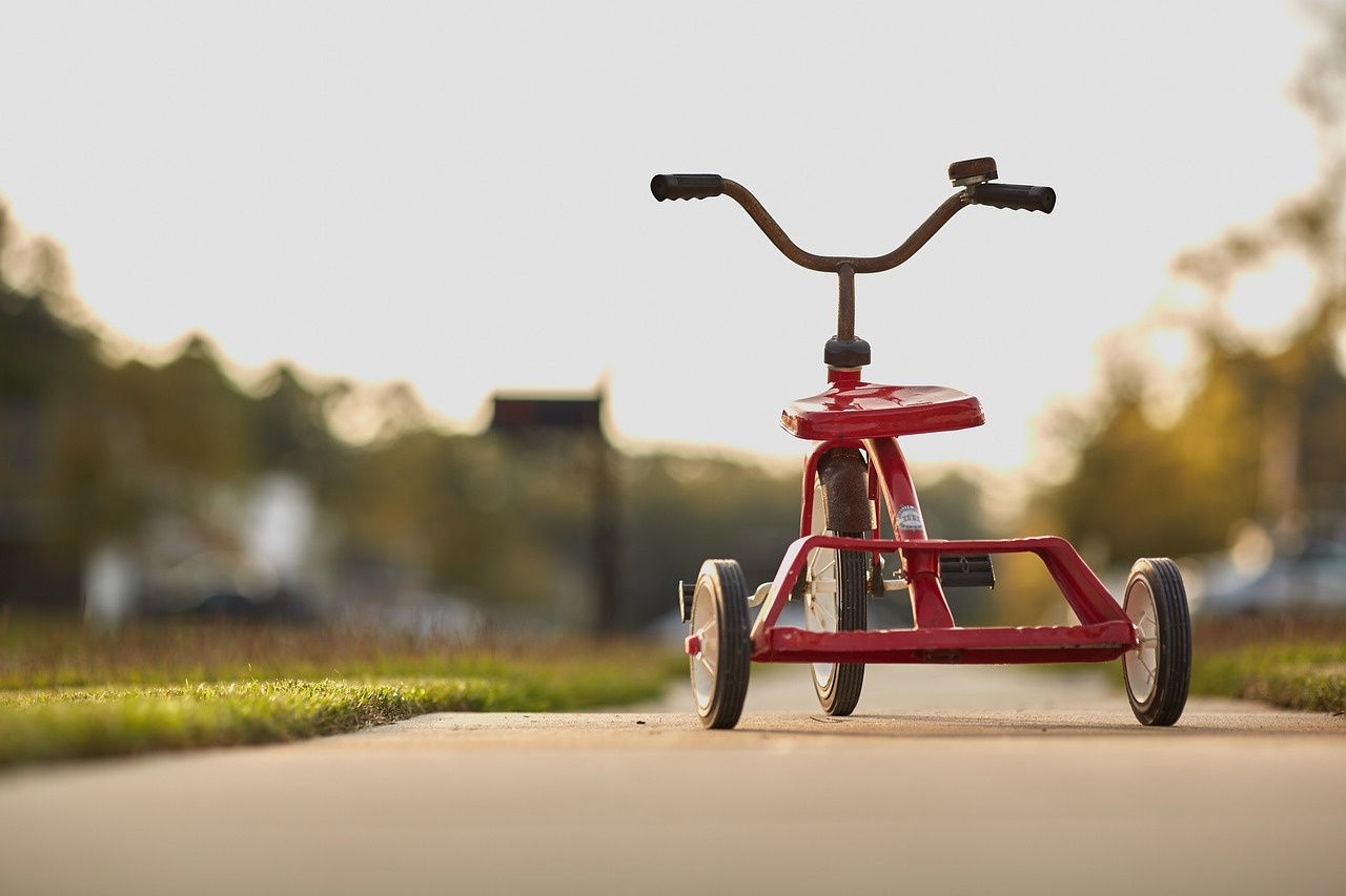Children Bicycle Market - Drivers and Forecasts by Planet Market Reports
