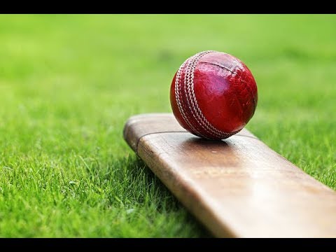 Cricket Market Report 2019 with the Slowdown in World Economic Growth