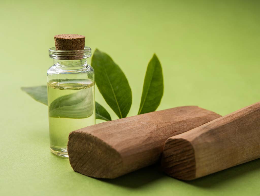Sandalwood Oil Market Predicts A CAGR of Around 10.3% During The Forecast Period