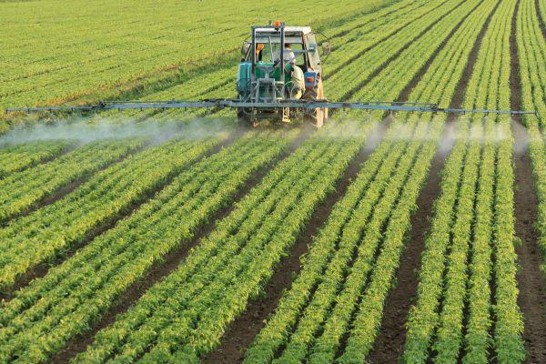 Water Soluble Fertilizers Market In-Depth Analysis of the Segmentation Which Comprises Product Type, Business Strategies, Development Factors