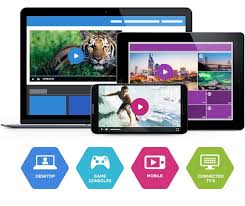 Online Video Platforms Market - Global Trends, Market Share, Industry Size, Growth, Opportunities, and Market in US Forecast, 2019-2025
