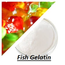Fish Gelatin Market Key Player Analysis By - Shanghai Freemen, Geltech, Lapi Gelatine, Nita Gelatin, Gelima