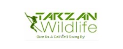 Tarzan Wildlife Inc - Wildlife Control Toronto