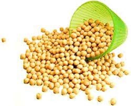 Global Pea Protein Isolate Market to Schedule at a CAGR of 12.04% by 2025 Due To Raising Demand for Gluten-free Products