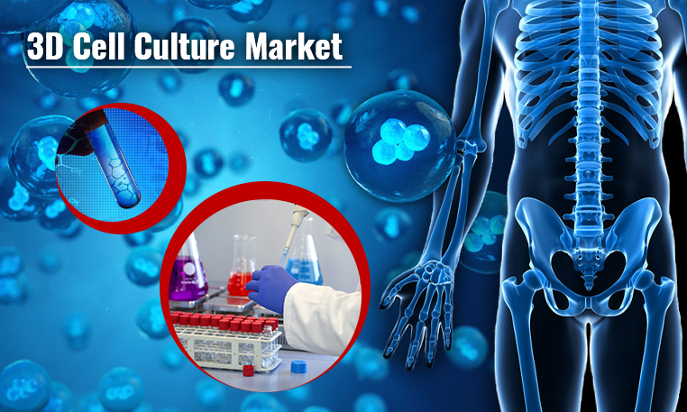 3D Cell Culture Market Potential Effect on Upcoming Future Growth, Competitive Analysis and Forecast 2030