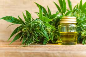 Global Cannabidiol (CBD) Market 2019 Trends, Market Share, Industry Size, Growth, Sales, Opportunities, Analysis and Forecast To 2025