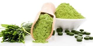 Global Algae Products Market 2019 Trends, Market Share, Industry Size, Opportunities, Analysis and Forecast To 2025