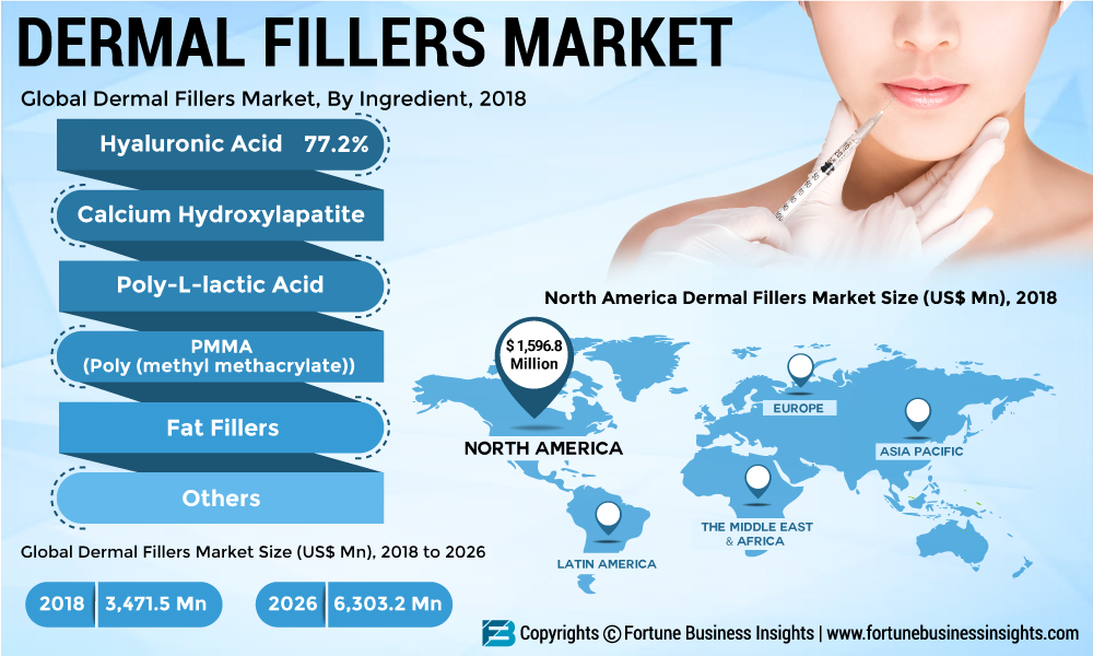 Dermal Fillers Market Size, Share, Key Players Overview and Geographical Outlook 2026
