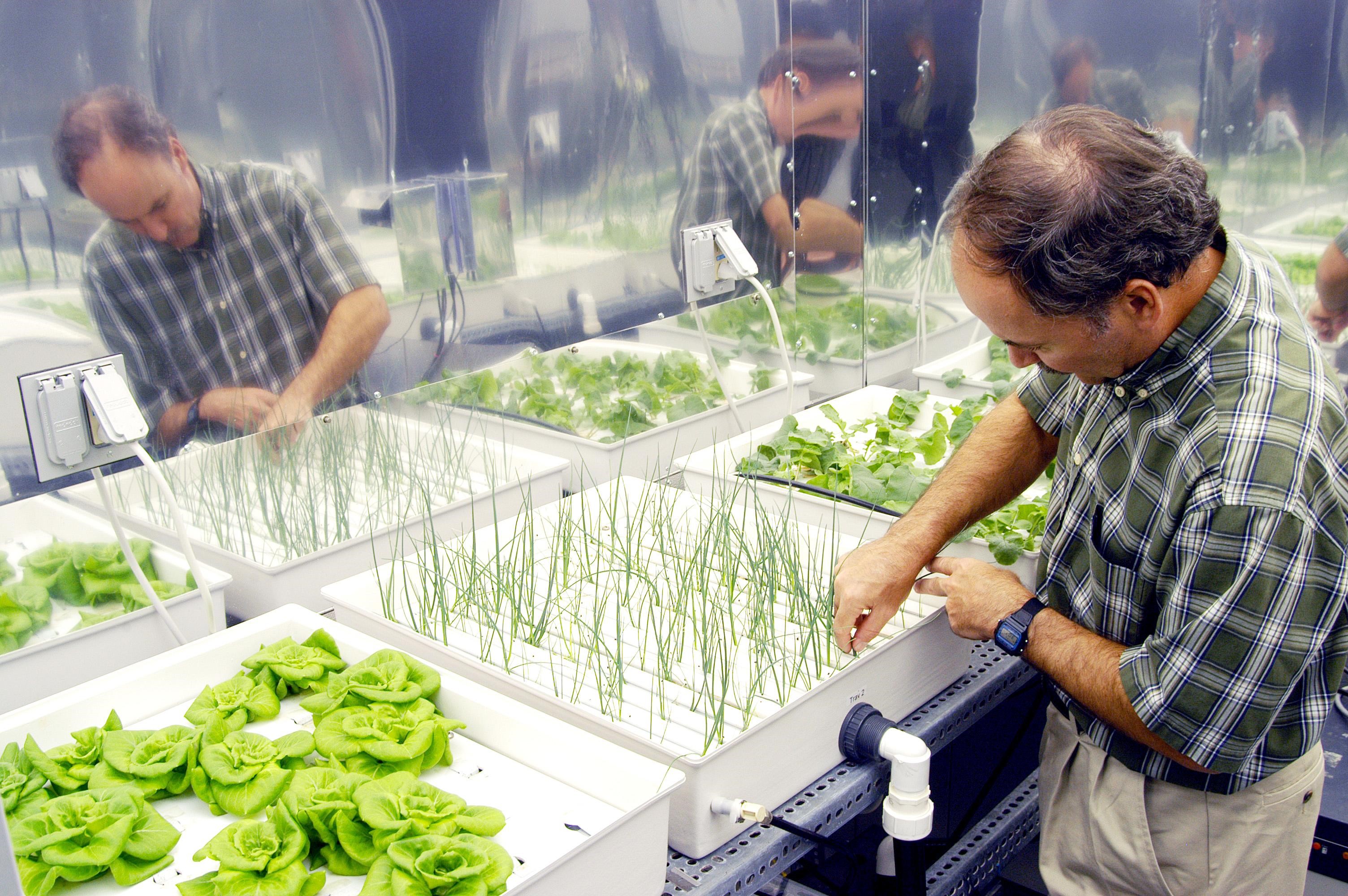 Hydroponics Market Propelled by Profound Advantages of Hydroponic Farming