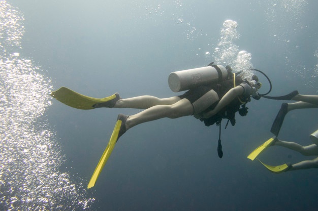 Global Dive Suits Market Growth Opportunities 2019 with Leading Companies- Bare Sports, Aqua Lung, Santi Diving, NeoSport and more...