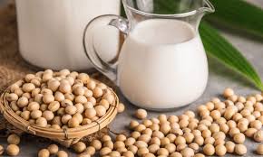 Global Organic Soymilk Market 2019 Trends, Market Share, Industry Size, Opportunities, Analysis and Forecast To 2025