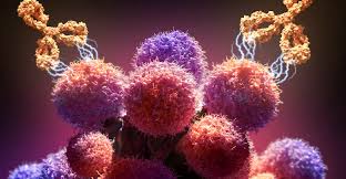 Cancer Monoclonal Antibodies Market 2019- Global Industry Analysis, By Key Players, Segmentation, Trends and Forecast By 2025