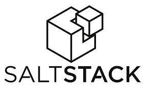 SaltStack Named InfoSec Startup of the Year and Wins Three 2019 Cyber Defense Global Awards for Innovative SecOps Solutions