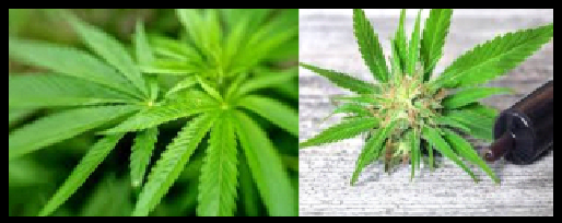 Cannabidiol Market Research Report 2019 by Size, Share, Trend, Growth, Industry Analysis & Forecast to 2023