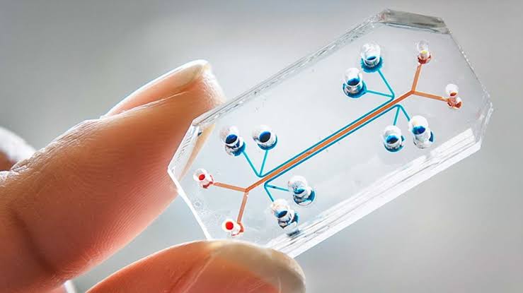 Organs-on-chips Market Strategies 2019, Cost and Growth Analysis by Top Players with Key Applications, Geographical Forecast 2025