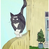 Domino - The lovely cat that can’t go out A series of children’s books
