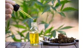 Cannabidiol Oil (CBD Oil) Market 2019 Global Industry – Key Players, Size, Trends, Opportunities, Growth Analysis and Forecast to 2025