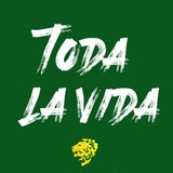 Toda la Vida- Documentary What is a team without their fandom? Shortfilm for the Guanajuato International Film Festival at the identity and belonging contest.