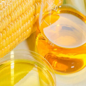 Corn Syrup Market to Eyewitness Massive Growth by 2025 | Cargill Incorporated, Showa Sangyo, Ingredion