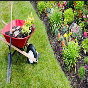 A Comprehensive Study Exploring Landscaping and Gardening Services Market | Key Players TruGreen, Marina, Mainscape, Lawn Doctor