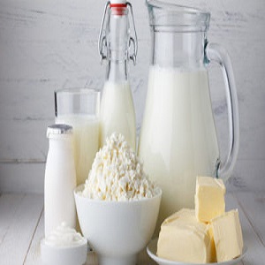Dairy Ingredients Market to Set New Growth Story | Arla Foods, Saputo, AMCO Proteins