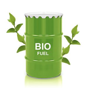 Top and Emerging Biofuels Market By Manufacturers,Types,Regions And Applications Research Report Forecast To 2026
