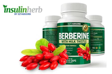 Insulin Herb Berberine Supplement Reviews: How to Stabilize Your Blood Sugar? [Must Read] – Business