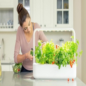 Smart Indoor Garden Market Have High Growth But May Foresee Even Higher Value