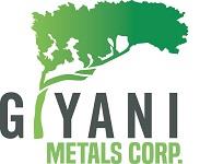 Giyani Appoints New CFO and Provides Operations Update