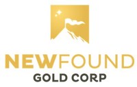 New Found Gold Appoints Douglas Hurst, Founding Member of Newmarket Gold, to Board of Directors
