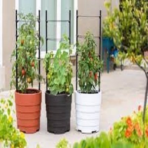 Indoor Self-growing Garden Market Is Thriving Worldwide with AVA Technologies, AeroFarms, Click & Grow