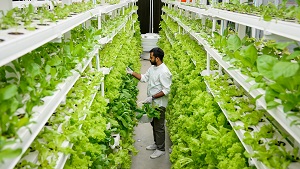 Indoor Farming Market Report 2021-2026 Share By Company Growth Analysis, Demands, Size, and Forecast