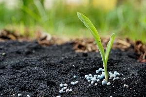 Indian Fertilizer Market Size 2021-2026: Share, Trends, Growth, Outlook, Key players and Forecast Report