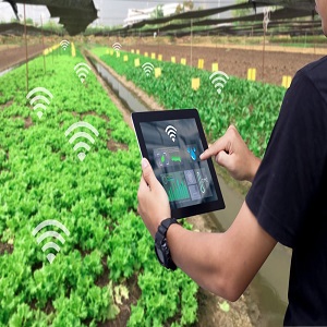 IoT in Smart Farming Market to See Major Growth by 2026 | SemiosBio Technologies, DigiReach, Libelium, Link Labs, Mouser Electronics