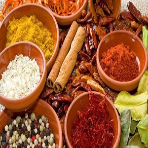Speciality Food Ingredients Market Growing Popularity and Emerging Trends | ABF Ingredients, Givaudan, Cargill