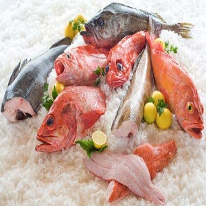 Fresh & Frozen Seafood Market to Eyewitness Huge Growth by 2027 | McCain Foods, Sahar Enterprises, Godrej Tyson Foods